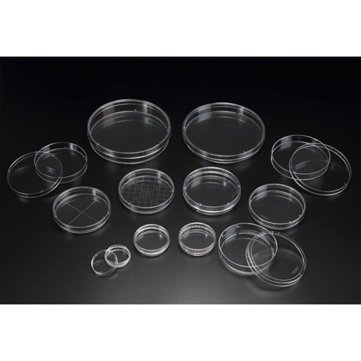 Petri dish, PS, 150 x 20 mm